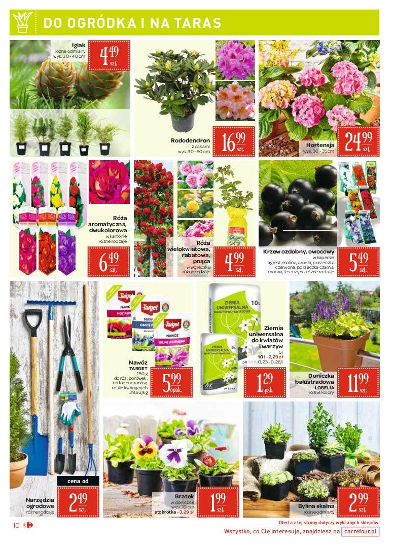 Gazetka promocyjna Carrefour Market str. 10